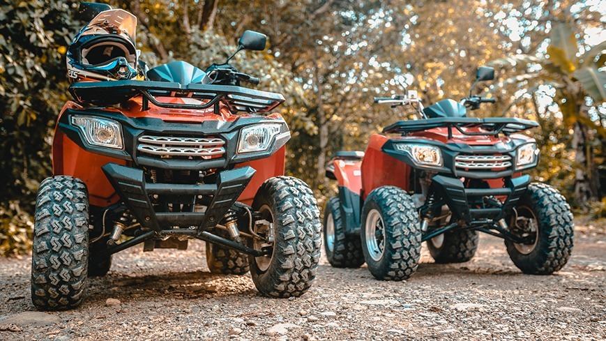Monkey Ride Rental | Quad & Car